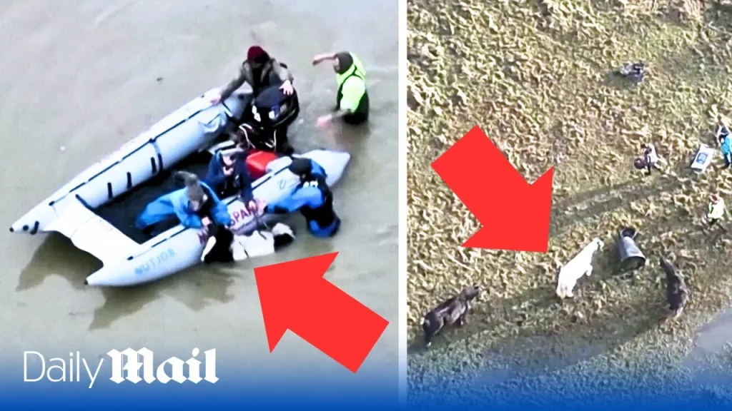 Storm Henk: Moment horse is rescued from floodwater in Britain’s Leicestershire