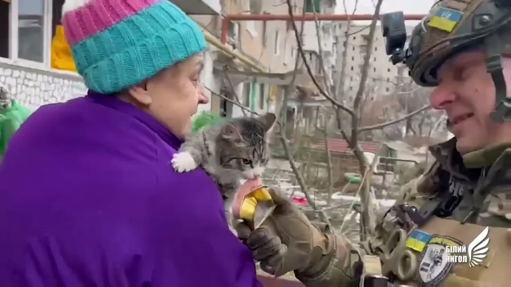 Food for furry animals arrived in Avdiivka: “White Angels” delivered up to 750 kg of feed for animals