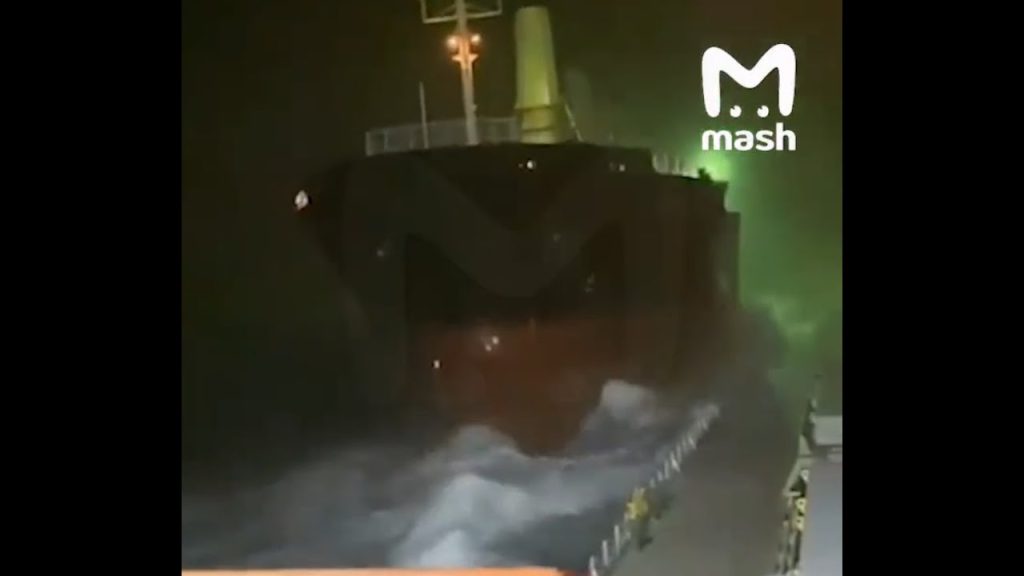 Sevastopol Storm Update: Russian Cargo Ships Collide, Dolphin Pen Swept Away, Ship Runs Aground