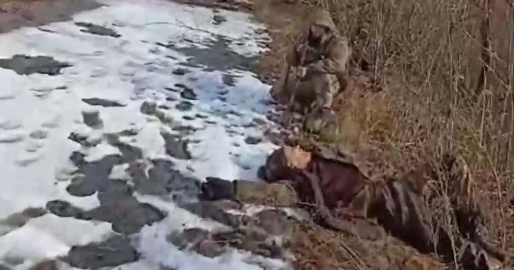 21:06 06.03 Border guards take a Russian prisoner: "Raise your hands, you're in my sights, lie down on your back, lie down, don't even think about getting up". VIDEO 8 3648